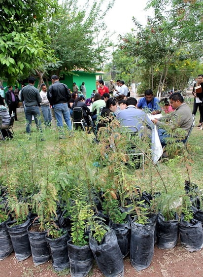 Dicen. Será en el Vivero Forestal Lerdo a las 11:00 de la mañana y se invita a la ciudadanía para que acudan por un árbol. (EL SIGLO DE TORREÓN)