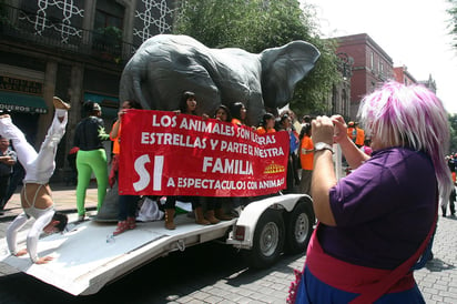 En conferencia de prensa, el presidente de la UNEAC, Armando Cedeño, dijo que las autoridades no han creado el santuario para que sean albergados los más de 4 mil animales que hay en los circos y esa situación sí pone en peligro su vida. (ARCHIVO)