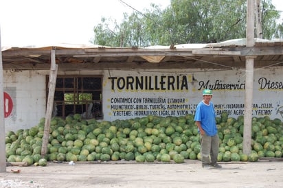 Kilo. Esperan que el precio inicie en 8 pesos.