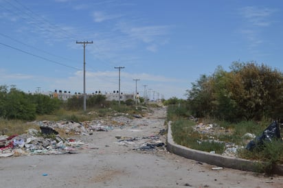 Suciedad. Los carriles de circulación se observan llenos de escombros y basura. (ROBERTO ITURRIAGA)