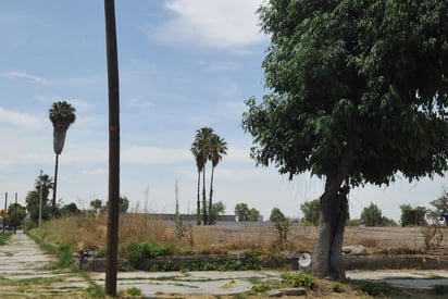 Terrenos. Hay graves problemas de contaminación por el descuido de los dueños. (EL SIGLO DE TORREÓN)