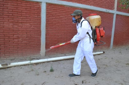 El investigador de Narro recomendó la fumigación de personal especializado para acabar con las chinches. (Archivo)