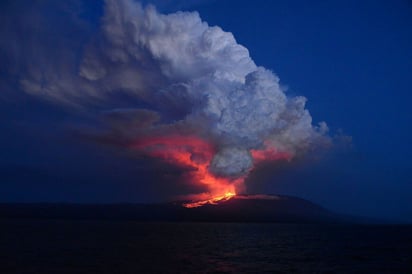 En alerta. Las autoridades se mantienen en alerta, señalan que las iguanas rosadas sólo se encuentran en ese archipiélago.