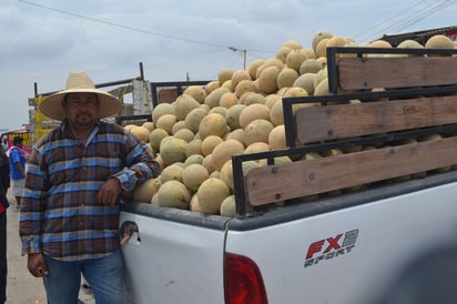 Producto. Señalan que el principal problema en la actualidad es que hay demasiados melones. (Mary Vázquez)