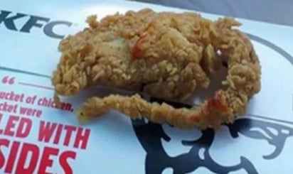 Un cliente de KFC, en Estados Unidos, denunció que recibió una rata frita en sus pedido. (IMAGEN TOMADA DEL VIDEO)