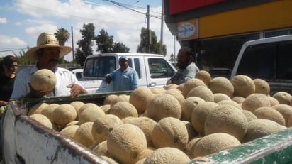 Las plagas han reducido hasta en un 50 por ciento el rendimiento de la producción. (El Siglo de Torreón)