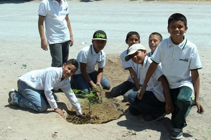 Día. Celebrarán hoy en el vivero de Lerdo el Día del Árbol, por lo que habrá diversas actividades dirigidas a la población. (EL SIGLO DE TORREÓN)