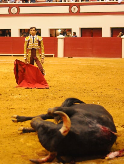 Los taurinos del estado de Coahuila pugnarán para que se respete el sentido actual de las corridas de toros, dando muerte a los astados en el ruedo, pues de cualquier manera, deberán ser sacrificados en los corrales. (Archivo)