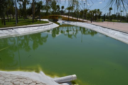 Sin cambio. En los lagos, el color del agua sigue con tonos verdes, a pesar de que desde hace meses se le aplican químicos. (ROBERTO ITURRIAGA)