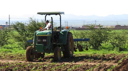 Opinión. Afirman que aumentó la cifra de pobres en la zona rural.