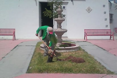 Reforestación. Plantan árboles y mejoran el entorno de un centro comunitario de Lerdo.