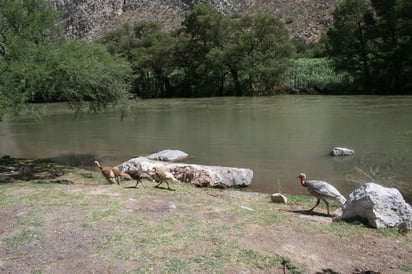 Inconformes. Ejidatarios denuncian irregularidades en el manejo de recursos para la reserva protegida del Cañón de Fernández. (ARCHIVO)