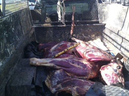 Detenidos. Aseguran a 2 hombres en Torreón por transportar carne de 'bachán'.