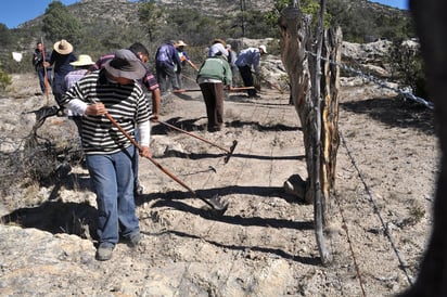 Programa Irritila. El objetivo es sanear la cuenca alta del río Nazas con obras de reforestación y conservación de suelo, a fin de que se cuente con más agua y de mejor calidad en la Región Lagunera. (ARCHIVO)