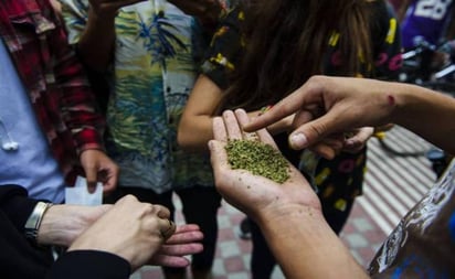 Recreación. Con la autorizacón que emitió un juez para el uso recreativo de la marihuana, partido prevé lanzar iniciativas.