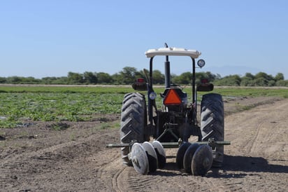 Reunión. Trabajan en conjunto delegado de Sagarpa y líder estatal de CNC para brindar apoyo a productores de sorgo. (ARCHIVO)