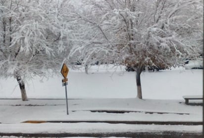 Ciudad Juárez se encuentra cubierto por la nieve. (TWITTER)