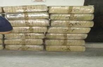 Con apoyo de ejemplares caninos de la Policía Federal, se localizaron 441 kilos de marihuana ocultos en el doble fondo de un camión.