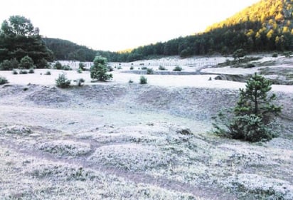 Clima. En 14 municipios se registran nevadas y en dos más aguanieve, reportó el SML. 