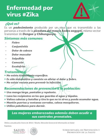 La enfermedad es producida por un virus transmitido a las personas a través de la picadura del mosco Aedes aegypti, el mismo vector del dengue y chikungunya. (TWITTER)