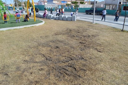 En el lugar no existen actualmente letreros para evitar el ingreso de personas y animales a las áreas verdes. (EL SIGLO DE TORREÓN)