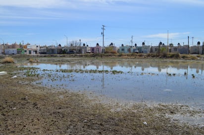 Con miedo. Temen brote de mosquitos transmisores de 'zika' en un terreno inundado.