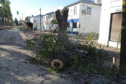 Inconformidad. Denuncian presunta tala de árboles de la Morelos, autoridades justifican.