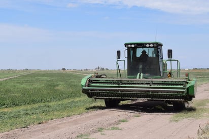 En crisis. Los productores del campo siguen pagando impuestos por el diésel, lo cual no favorece e incrementa los costos de producción. (ARCHIVO)