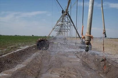 Extensión. Dan plazo para el cierre de las ventanillas de apoyo en la tecnificación del riego para el campo en la región. (EL SIGLO DE TORREÓN)