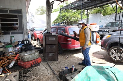 Esta primera jornada se realizará en todo el territorio nacional y facilitará la difusión de las medidas a llevarse a cabo para prevenir, contener y controlar los tres padecimientos provocados por la picadura del mosquito Aedes aegypti. (ARCHIVO)