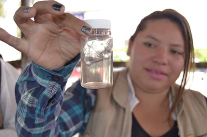 Clausura. Jurisdicción Seis termina semana de prevención y combate a virus transmitidos por el mosco Aedes Aegypti. (EDITH GONZÁLEZ)