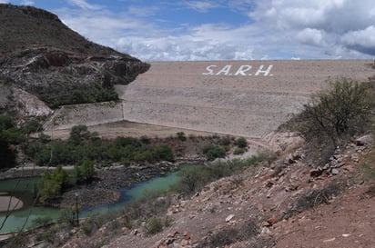 Será en mayo que se reinicie el primer riego de auxilio, según el Organismo de Cuenca Cuencas Centrales del Norte de la Conagua. (ARCHIVO)
