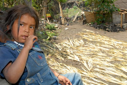 Celebración.  Señalan especialistas que faltan reglas y normas y mayor capacitación para quienes dirigen albergues infantiles. La niñez mexicana celebra el Día del Niño envuelta en pobreza y marginación.