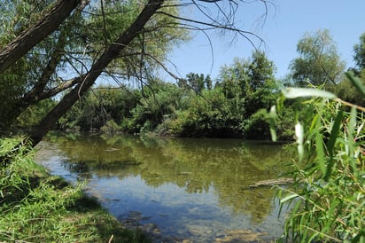 Parque. El Ayuntamiento a través de la Dirección de Ecología informó que no recibe recursos para vigilancia del parque. (ARCHIVO)