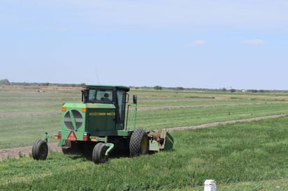 Protesta. Los agricultores consideran realizar protestas por la falta de apoyo para el diésel. (ARCHIVO)