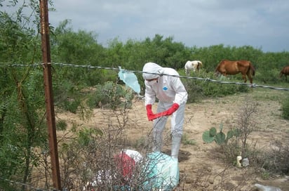 Peligro. Detectan tiradero de basura clandestino y la presencia de material médico. (EL SIGLO DE TORREÓN)