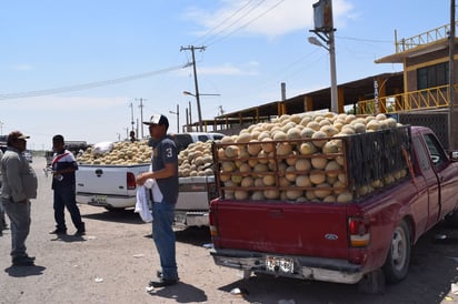 Los productores han empezado a evidenciar su desesperación. (EL SIGLO DE TORREÓN)