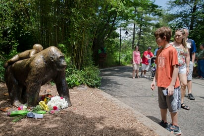 El director del zoológico, Thane Maynard, dijo que el equipo de respuesta para animales peligrosos del parque, capacitado para hacer frente a este tipo de incidentes, decidió que el niño estaba 'en una situación que ponía en peligro su vida' y que necesitaban matar a Harambe. (AP)