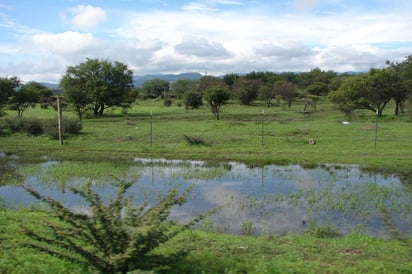 Clima. Diversas regiones del estado de Durango podrían recibir este sábado lluvias de diferente intensidad.