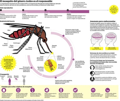 Protégete del virus del zika