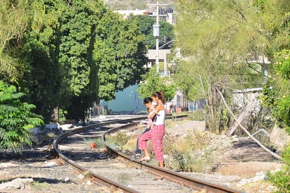 Programa. Recorrerá personal del IMM, de la UA de C y del Colegio de México, colonias del poniente de Torreón. (EL SIGLO DE TORREÓN)