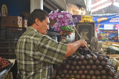 Costoso. Los comerciantes del mercado han tenido que comprar aguacates más pequeños para poder ofrecerlos a sus clientes. (ANGÉLICA SANDOVAL)