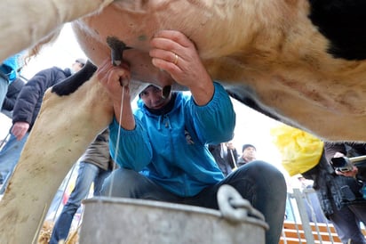 Producción. Afecta esta medida a los productores de leche de traspatio en la república. (AGENCIAS)