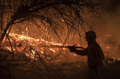 Reporte. Hace alrededor de diez días que ya no se tienen reportes de incendios forestales en el territorio estatal.