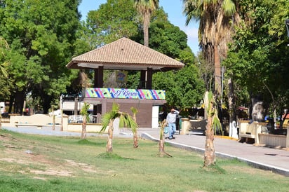 Campaña. En el Día Nacional del Árbol se intercambiarán árboles por material reciclable en la Alameda Zaragoza.