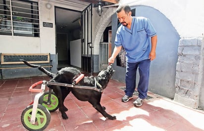 Compañeros. El veterinario Pablo Candias Salamaca ayudó a 'Rueditas' para darle una segunda oportunidad de vida. 