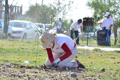 Planes. Para tener mejores  resultados en campañas de reforestación, Medio Ambiente fomenta plantación de especies endémicas. (ARCHIVO)