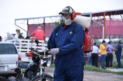 Debido a la considerable presencia del Aedes aegypti en la Comarca Lagunera, la Secretaría de Salud realiza recorridos por las calles, con acciones de nebulización con ayuda de unidades motrices, para así aplicar el abate. (ARCHIVO)