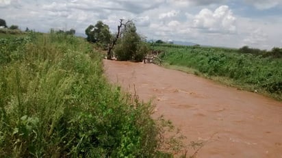 Azolvado. El río Poanas tiene mucha hierba y árboles que provocan represas e inundaciones en parcelas. 