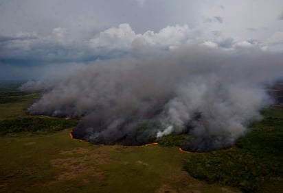 Crisis. Hasta ayer domingo ya son más de 500 las hectáreas.